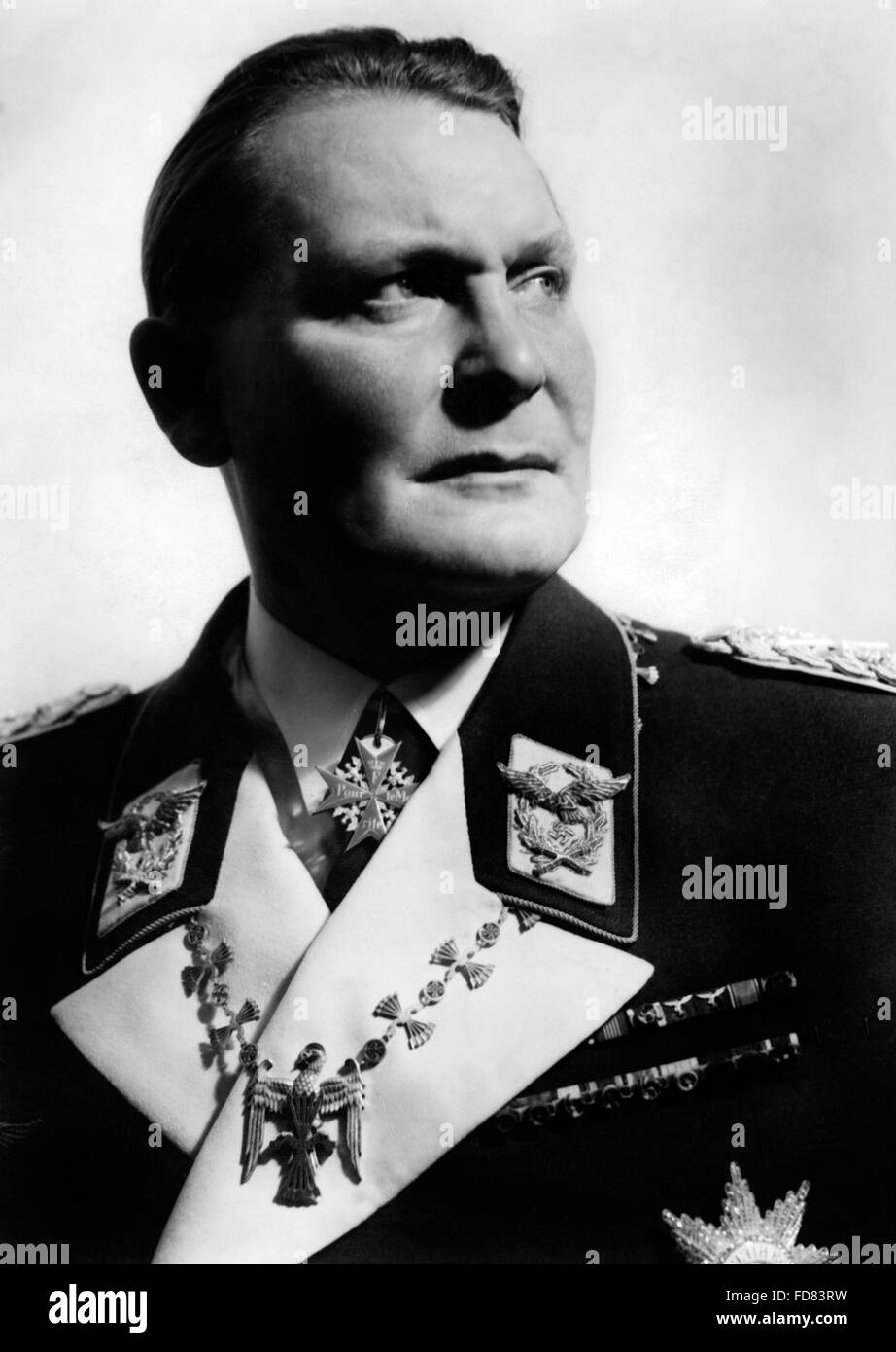 Portrait de Hermann Göring Banque D'Images
