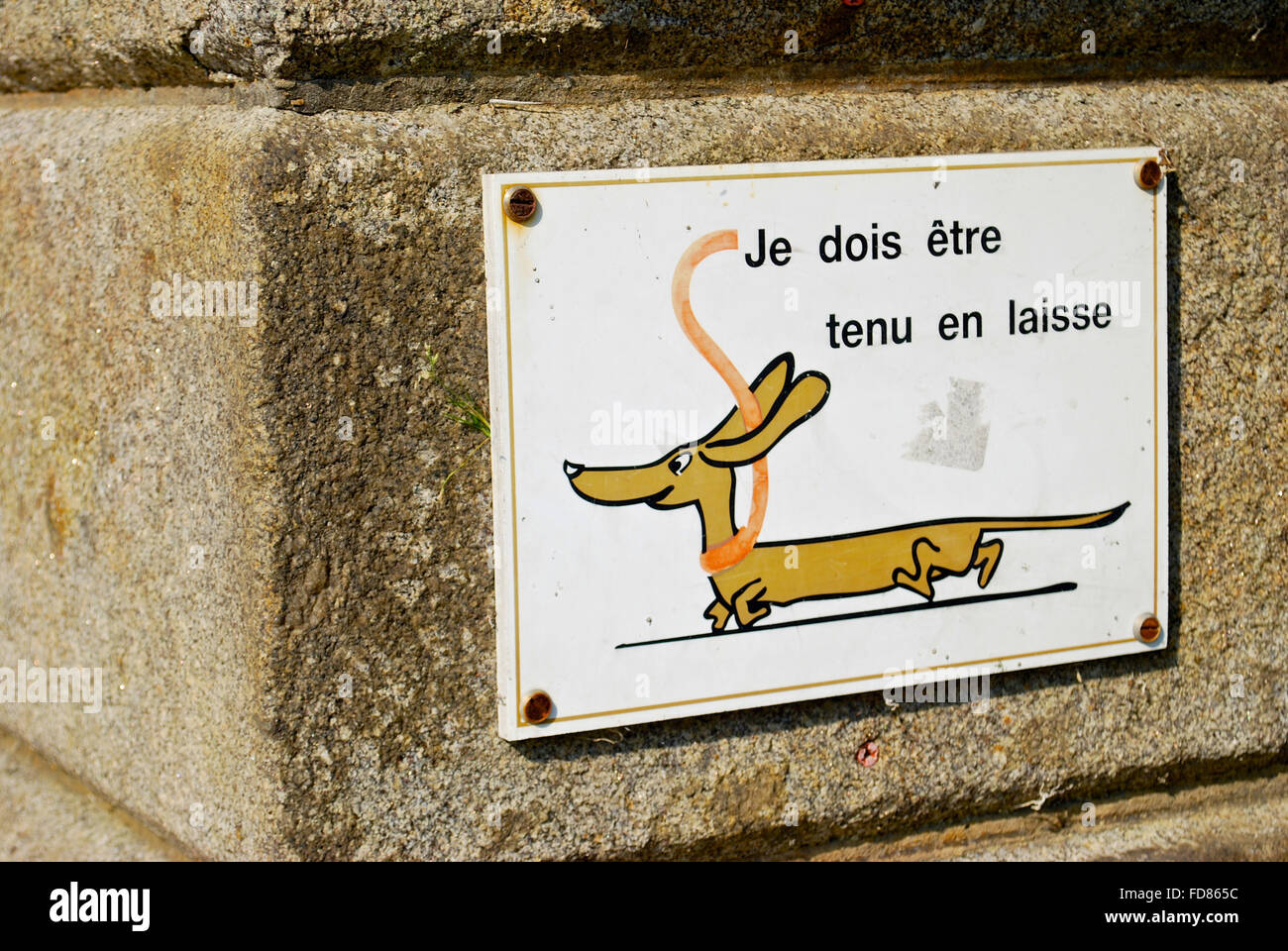 Panneau qui dit "Je dois marcher en laisse" en français. Banque D'Images
