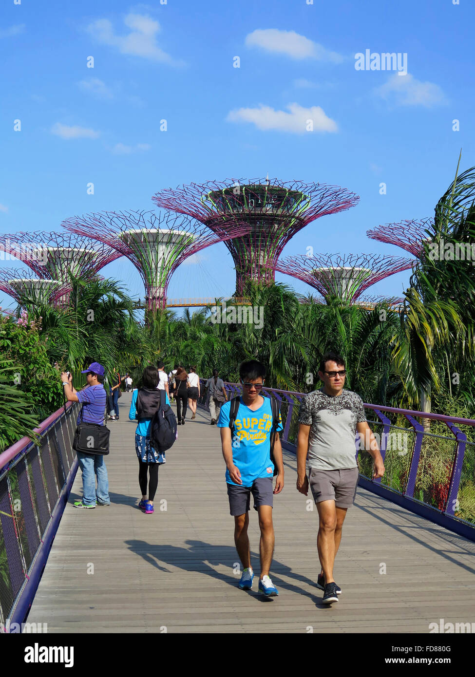 Supertree Grove, jardins par le Bay Park, à Singapour, en Asie Banque D'Images
