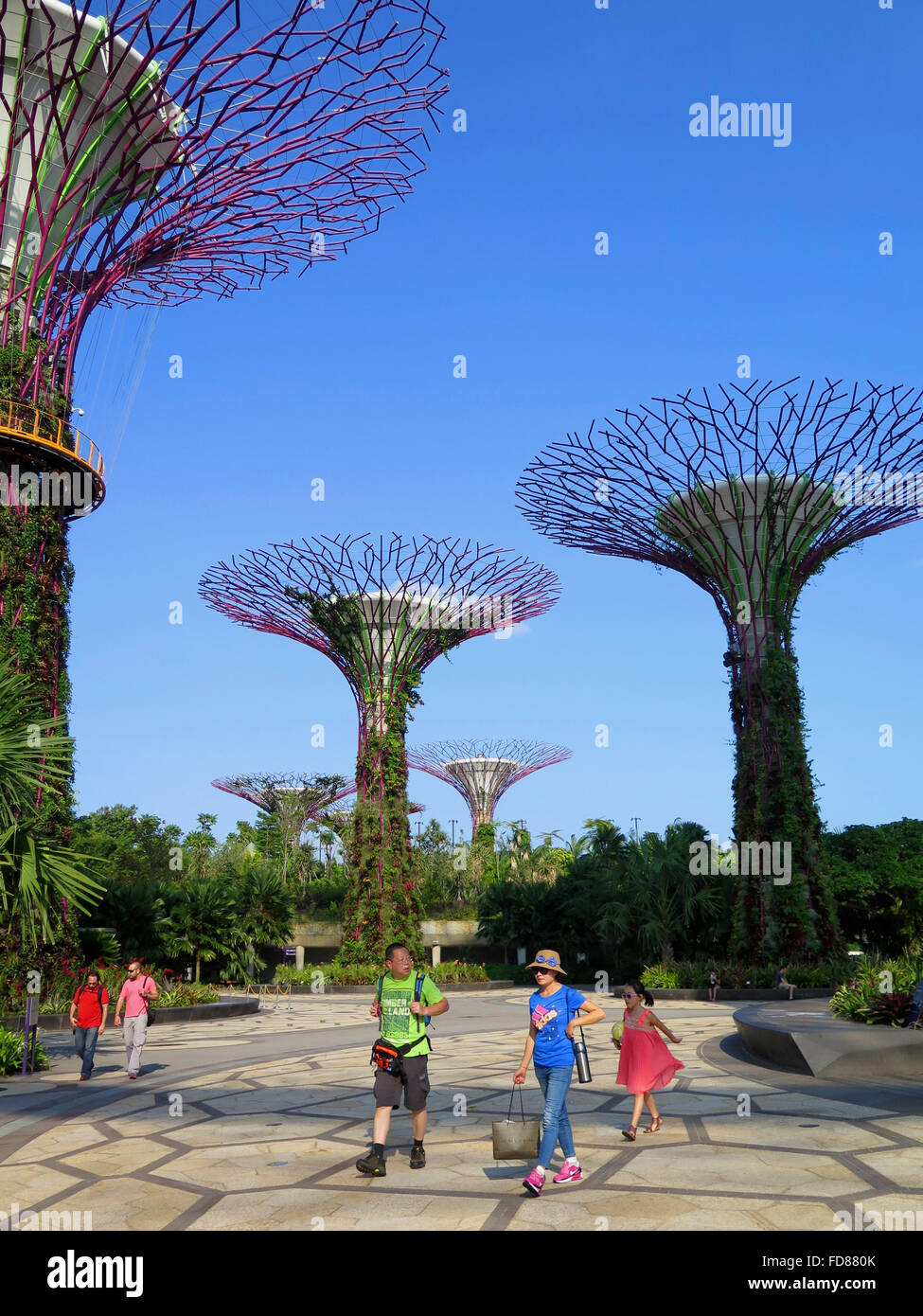 Supertree Grove, jardins par le Bay Park, à Singapour, en Asie Banque D'Images