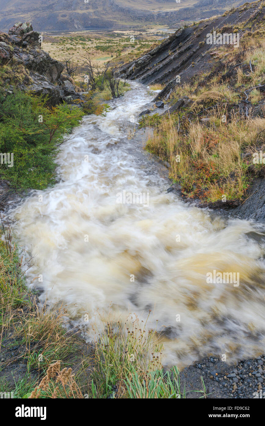 Ruisseau, Parc National Torres del Paine, Patagonie chilienne, Chili Banque D'Images