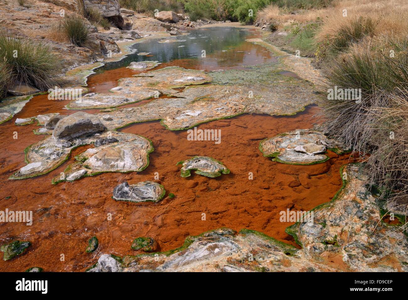 Rivière thermique, alimenté avec de l'eau bouillante à partir de sources chaudes, avec des excroissances colorées des algues bleu-vert, Polychnitos, Lesbos. Banque D'Images