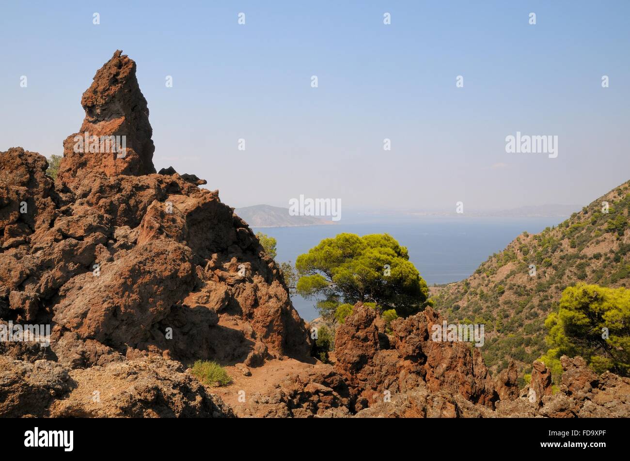 Peu de végétation poussant parmi les monticules de pierres de lave près du sommet du volcan dormant Methana Methana, péninsule, Grèce Banque D'Images