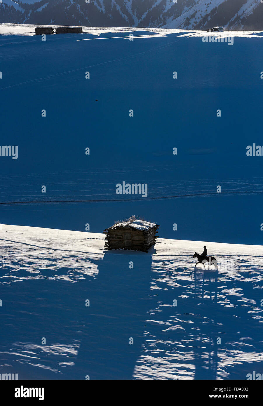 (160129) -- TEKES(XINJIANG), le 29 janvier 2016 (Xinhua) -- un gardian manèges accueil dans un village des Monts Tianshan au dans le comté de Tekes, nord-ouest de la Chine, la Région autonome du Xinjiang Uygur, le 24 janvier 2016. Ehinic Kazak bergers des Monts Tianshan dans groupe vivent dans des maisons en bois pour se garder au chaud en hiver, ce qui est un trait typique de leur vie nomade traditionnel. (Xinhua/Shen Qiao) (TWA) Banque D'Images