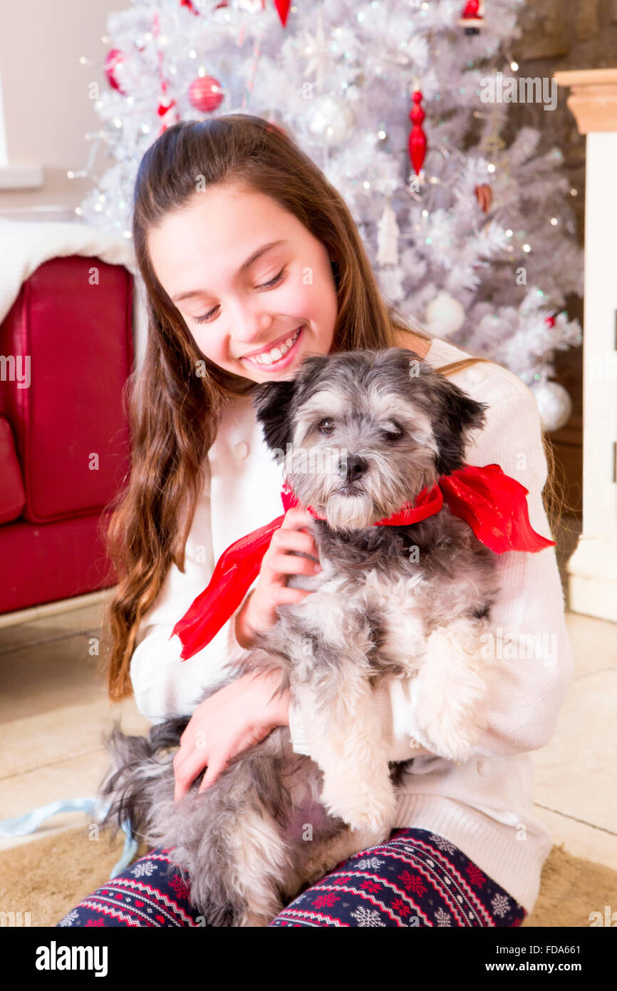 Jeune fille tenant un chiot à l'époque de Noël. Elle sourit et le chiot a un ruban rouge autour de son cou. Banque D'Images