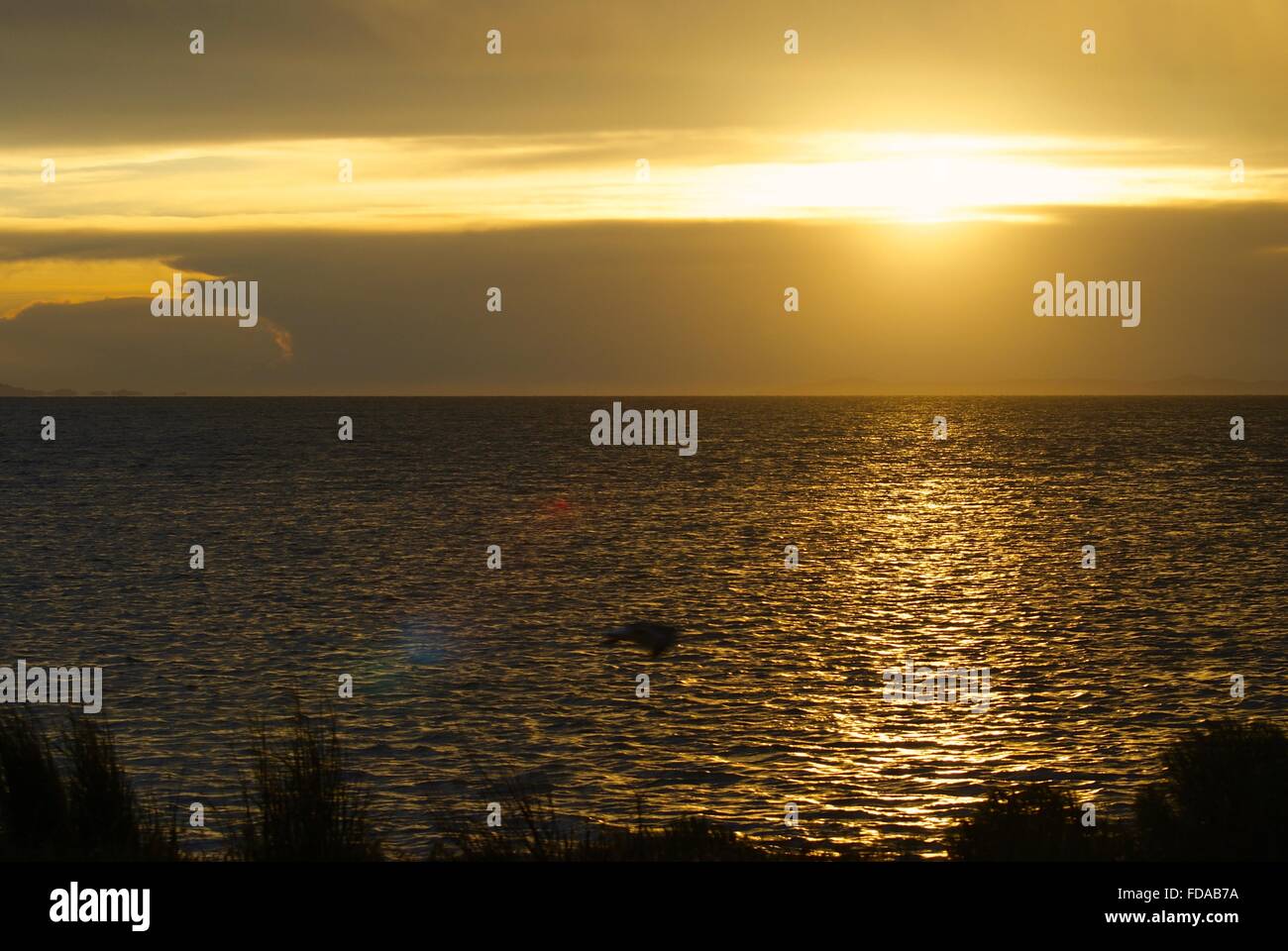 Un magnifique coucher de soleil sur le Grand Lac Salé de l'Antelope Island en mai. Banque D'Images