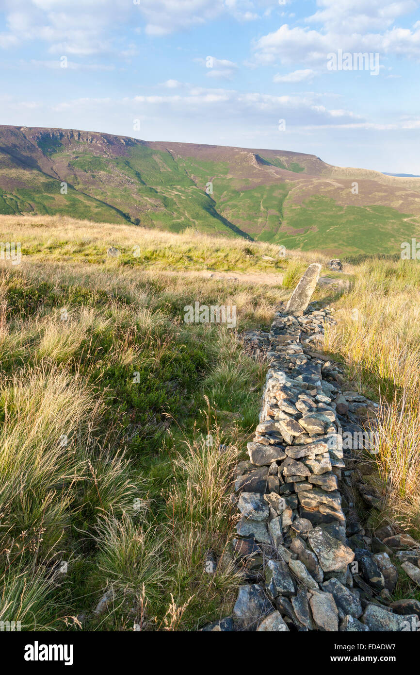 L'affaissement d'un mur de pierre en été dans les landes du sud de la périphérie de Kinder Scout, Derbyshire Peak District National Park, Angleterre, RU Banque D'Images