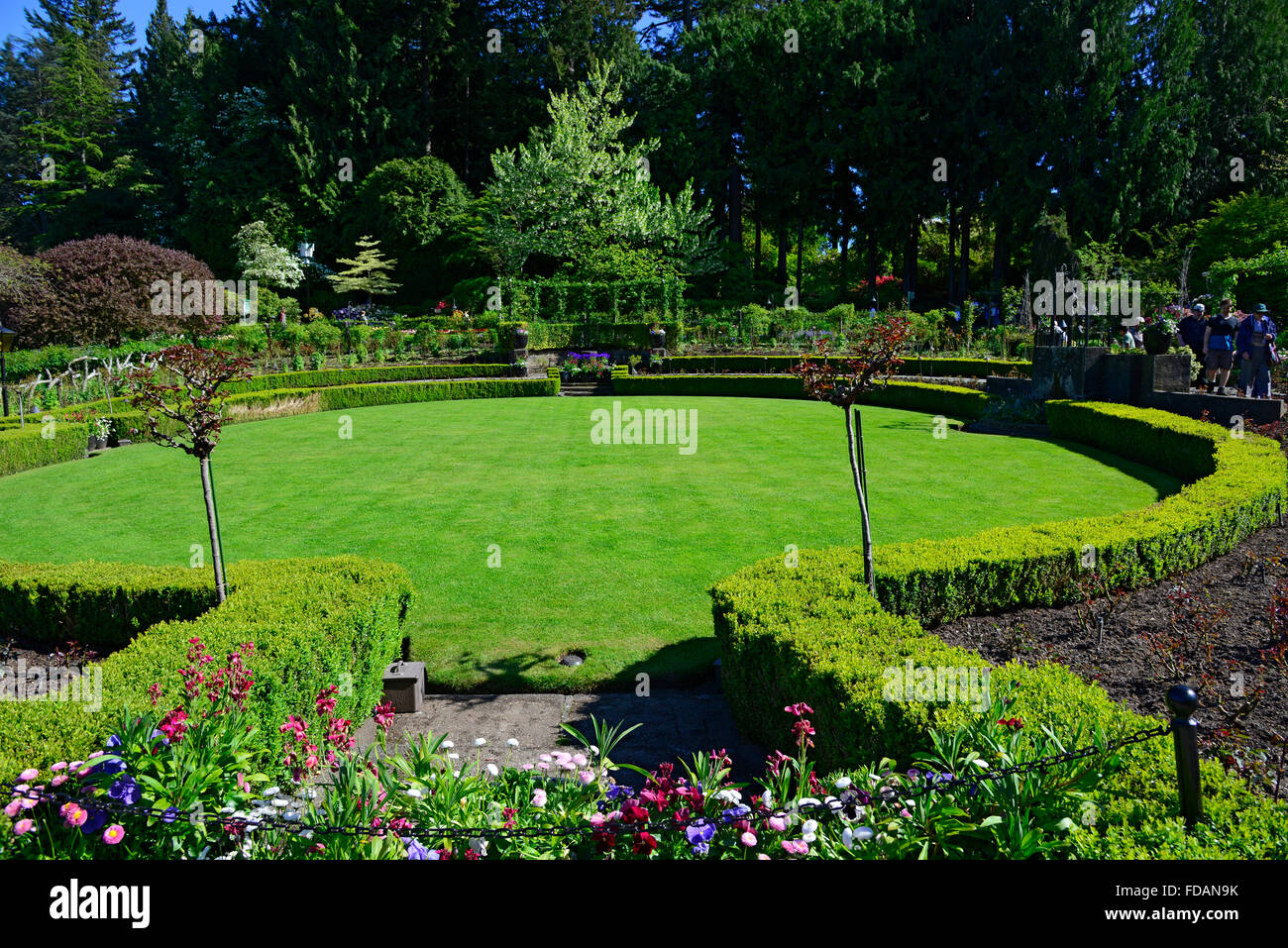 Les jardins Butchart Victoria British Columbia Canada Banque D'Images