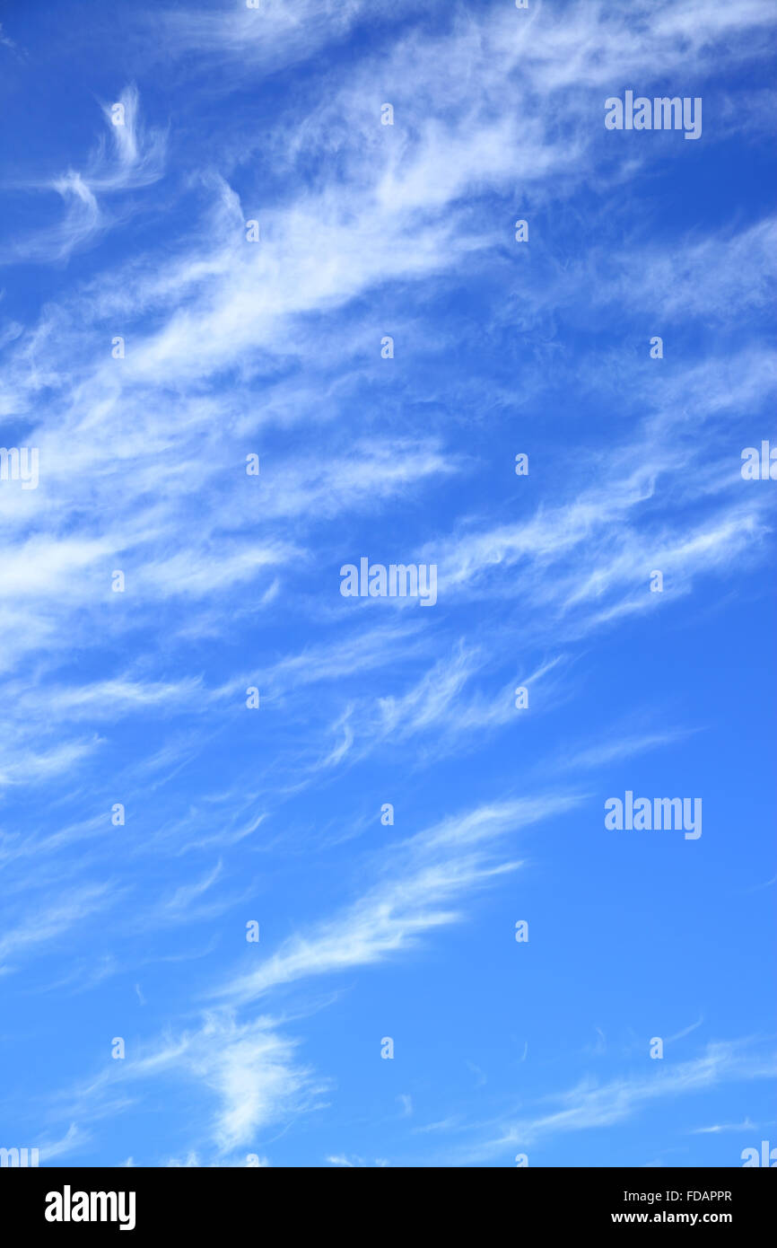 Le fond de ciel - les nuages dans le ciel bleu (composition verticale) Banque D'Images