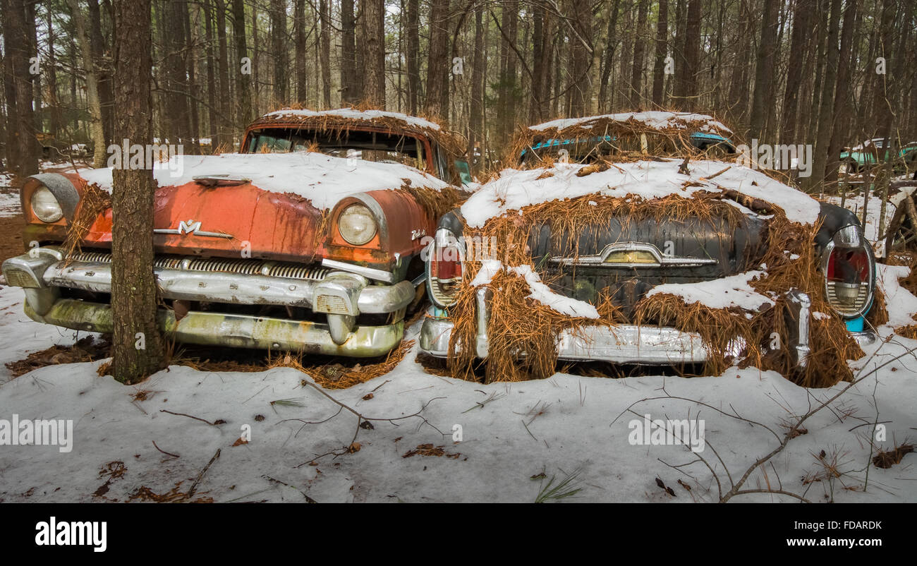 Rusty deux voitures anciennes couvertes de neige Banque D'Images