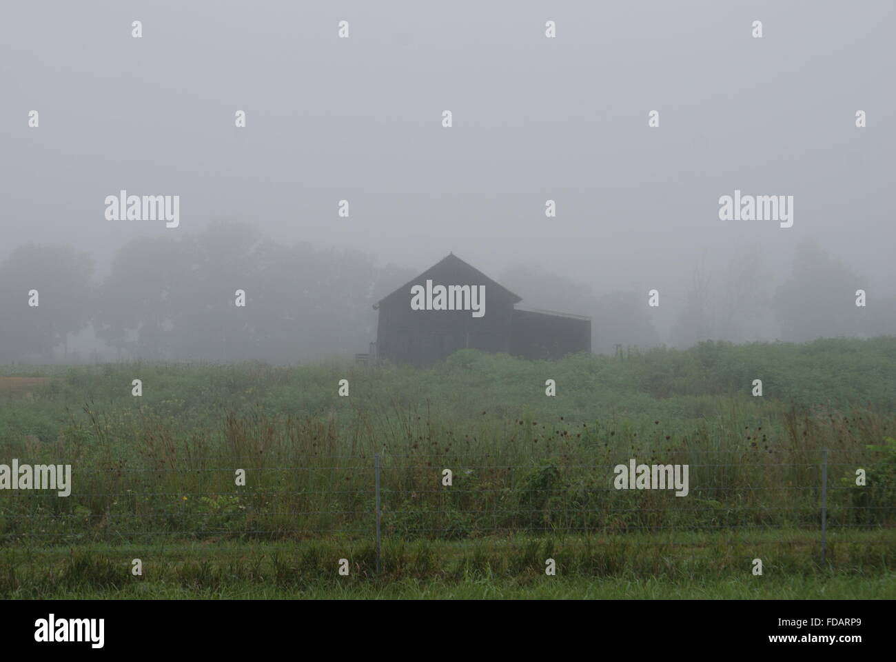Un matin brumeux et une vieille grange Kentucky à l'arrière du terrain. Banque D'Images