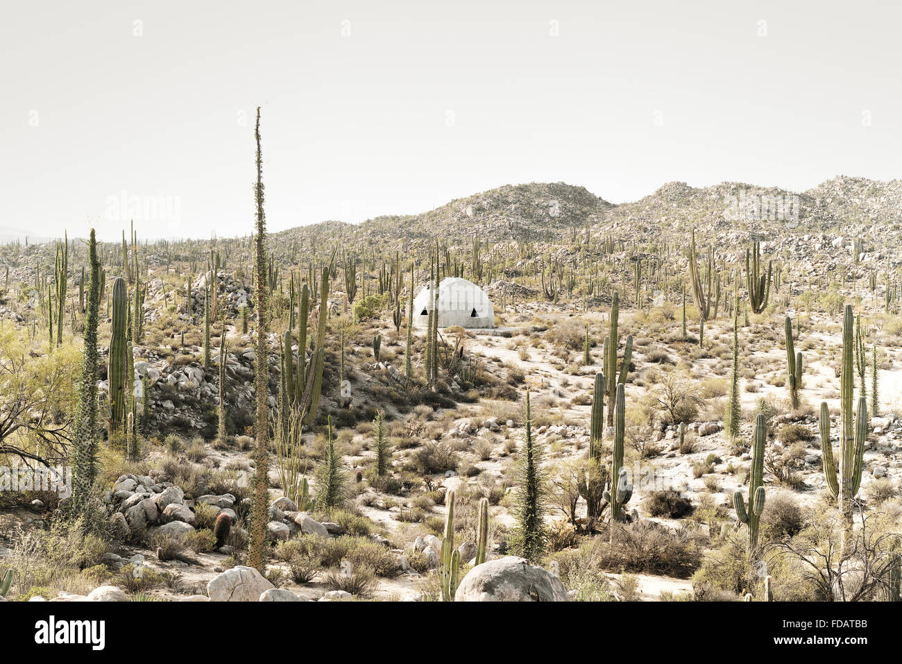 Un dôme chambre dans le désert de la Basse Californie, Mexique Banque D'Images