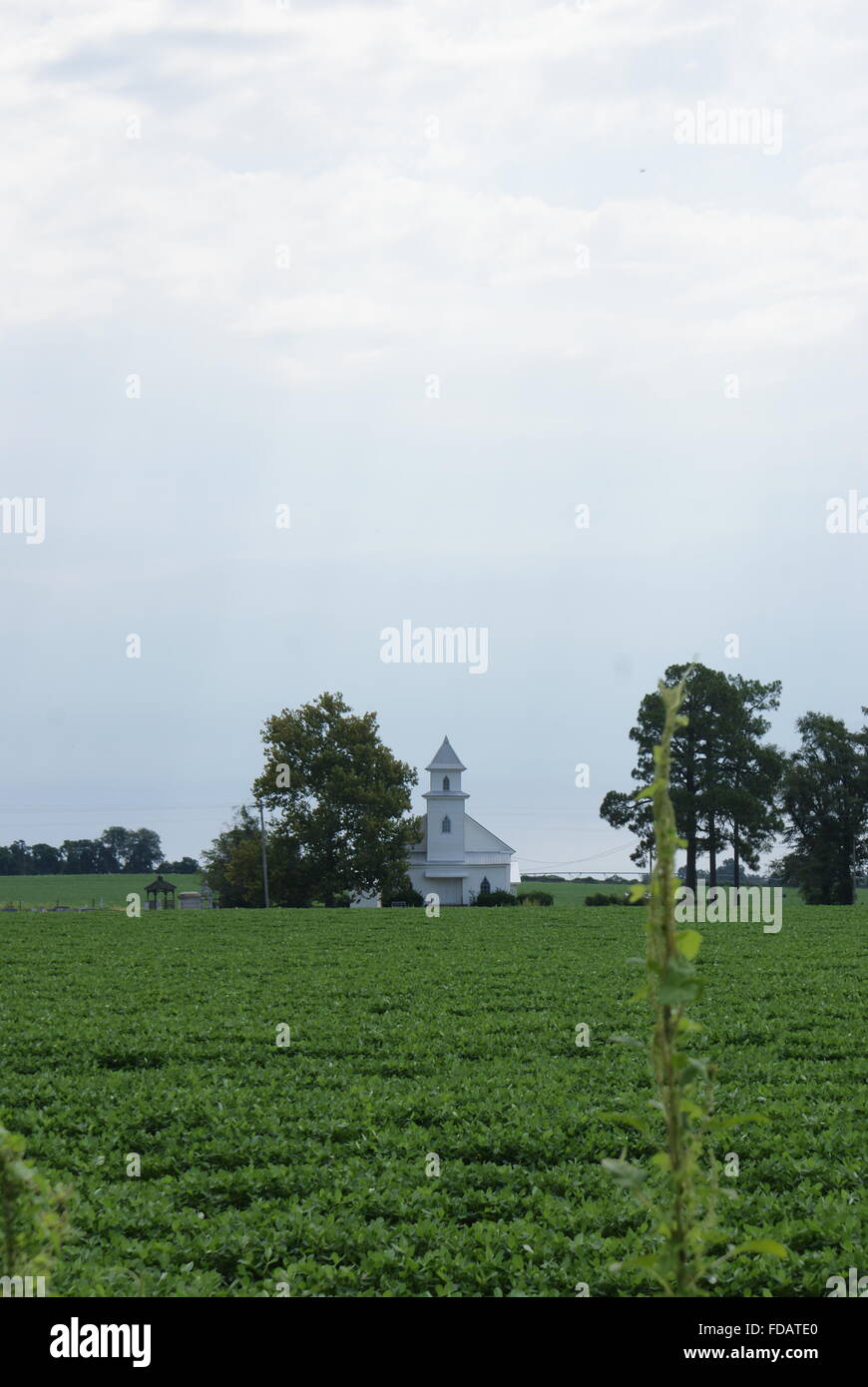 Voir un peu de pays blanc église sur une belle journée d'été en Géorgie. Banque D'Images