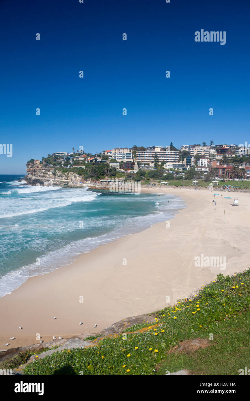 Bronte beach périphérie est Sydney NSW Australie Nouvelle Galles du Sud Banque D'Images