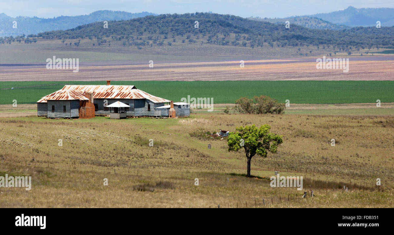 Liverpool plains très bonnes terres agricoles près de Quirindi, NSW, Australie Banque D'Images