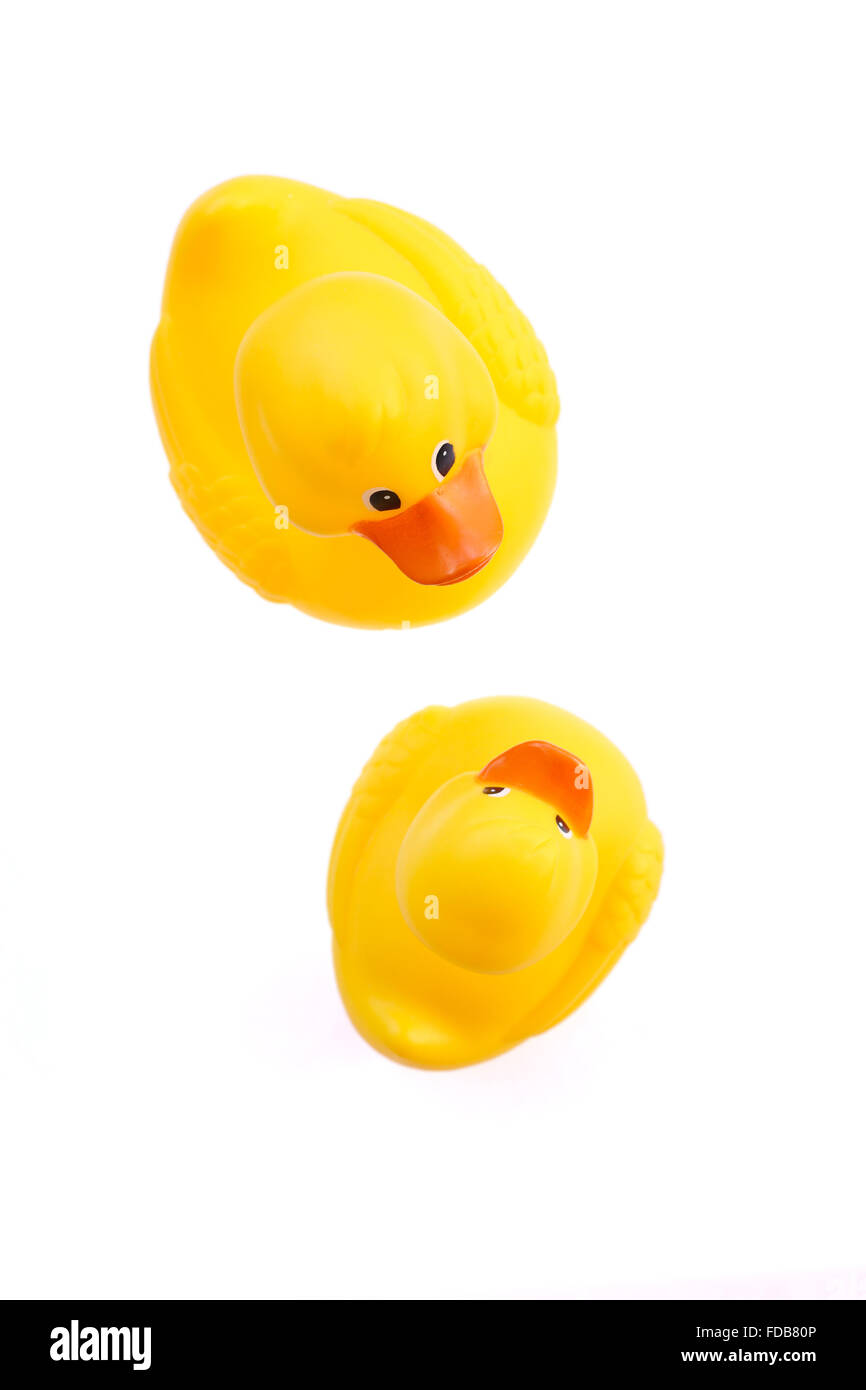 Jouets de bain parent et enfant de canard en caoutchouc jaune sur fond blanc orientation verticale Banque D'Images