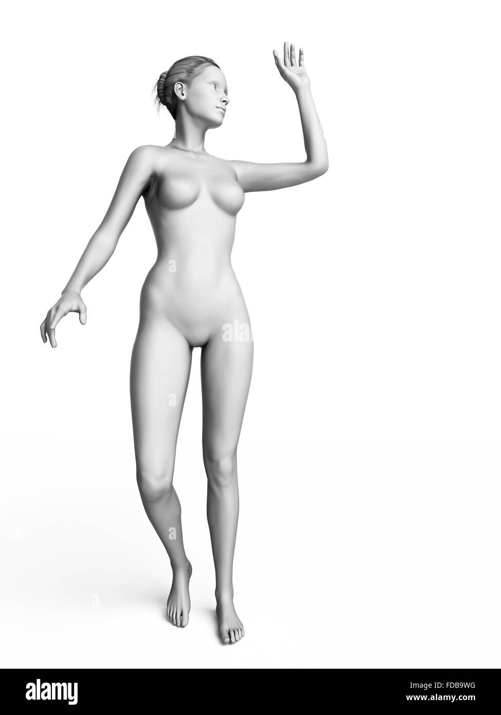 Anatomie d'une woman waving, illustration. Banque D'Images