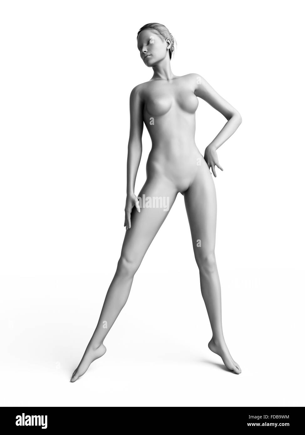 Anatomie d'une femme debout, illustration. Banque D'Images