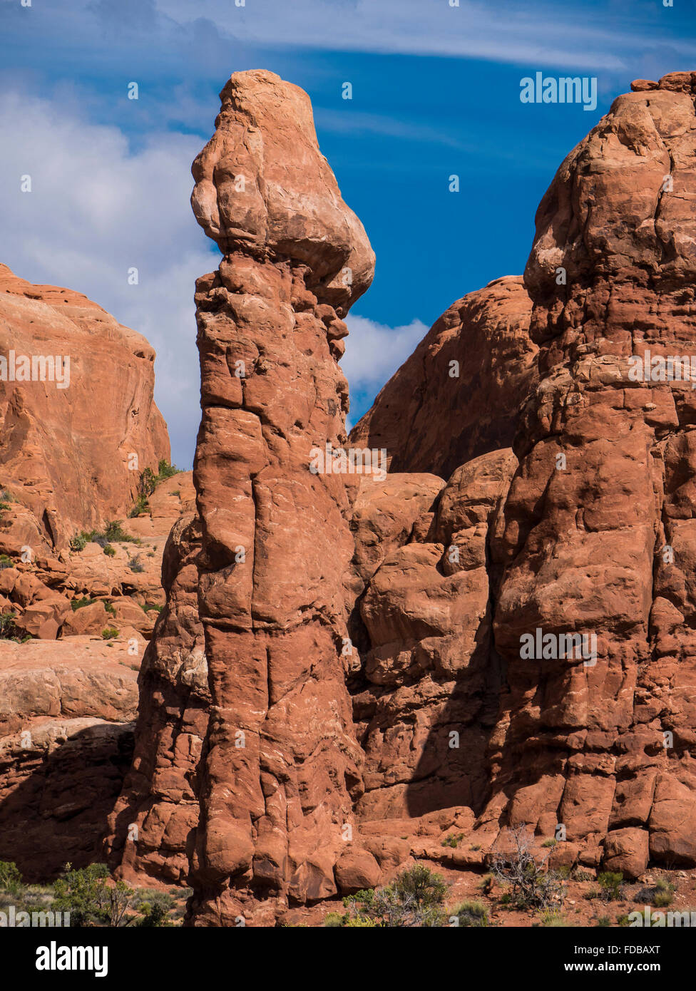 'Viagra' Rock, Rock Pinnacles, Arches National Park, Moab, Utah. Banque D'Images