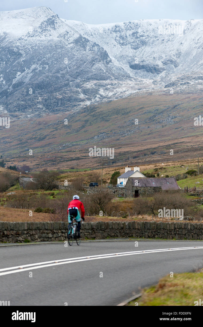 Le Parc National de Snowdonia, Conwy, Pays de Galles, Royaume-Uni. 30 janvier, 2016. Un cycliste se déplace sur la route A5 près de Capel Curig. Après une unseasonal sort doux, les températures ont chuté à près de zéro ce matin dans le parc national de Snowdonia. Une mince couche de neige couvre les sommets et il y a un fort vent d'ouest donnant un 'beaucoup plus faible se sent comme' la température. Credit : Graham M. Lawrence/Alamy Live News. Banque D'Images