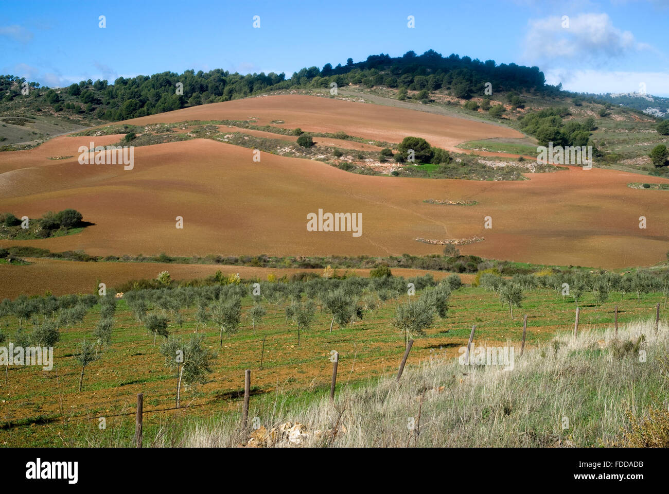 Le parc naturel de la Sierra de las Nieves, Andalousie, Espagne Banque D'Images