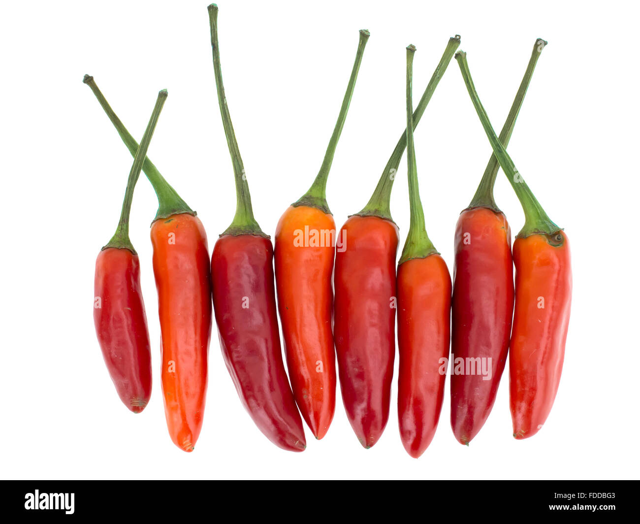 Red Hot Chili Peppers isolé sur blanc. Banque D'Images