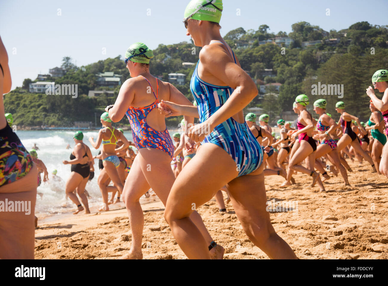 Macquarie Big Swim, 42nd grands nageurs annuels de Palm Beach à Whale Beach Sydney, une nage en mer de 2,8km qui fait partie de la série de nageurs de Pittwater Ocean, les concurrents ont un départ échelonné pour les hommes/femmes et pour les groupes d'âge. Sur la photo, les femmes commencent leur course sur les sables de Palm Beach. Il y a également un cours 1km plus court. Il s'agit de l'une des vagues emblématiques de l'océan en Australie et attire de nombreux concurrents masculins et féminins. Crédit : model10/Alamy Live News Banque D'Images