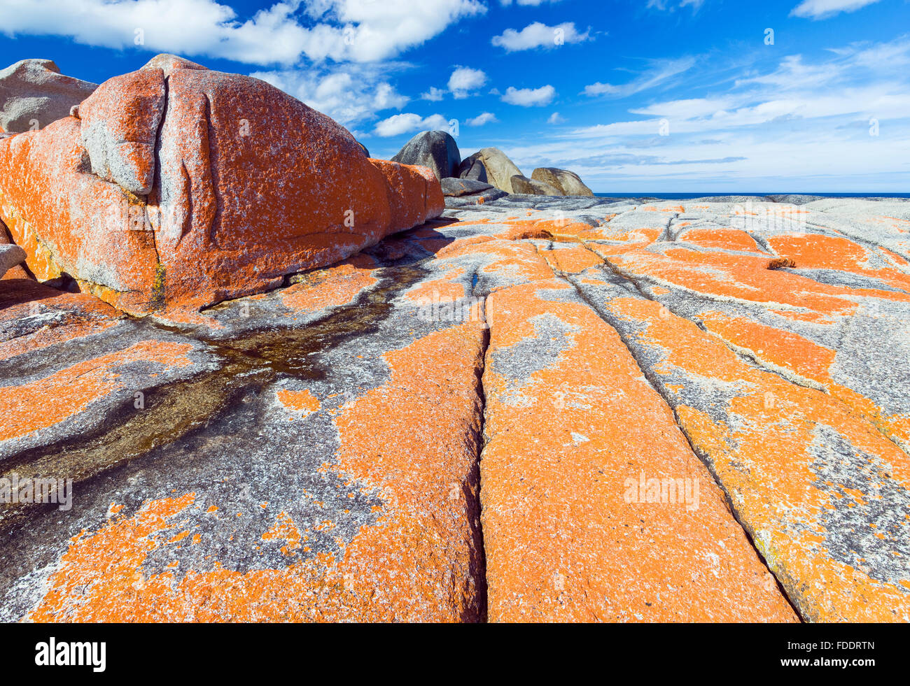 Bay of Fires, Côte Est de la Tasmanie montrant des rochers avec les lichens orange Banque D'Images