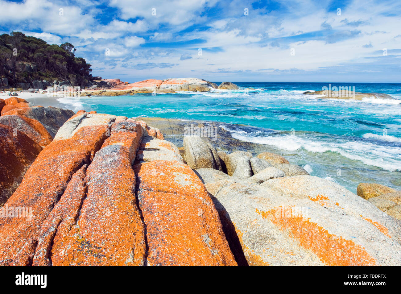 Bay of Fires, Côte Est de la Tasmanie montrant des rochers avec les lichens orange Banque D'Images