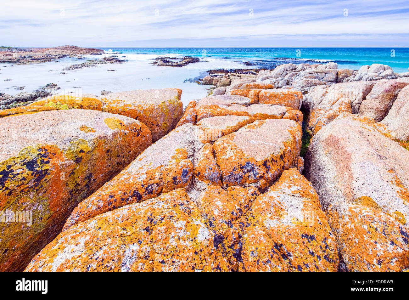 Les plages de la Péninsule de Freycinet en Tasmanie, montrant des roches couvertes de lichen orange Banque D'Images