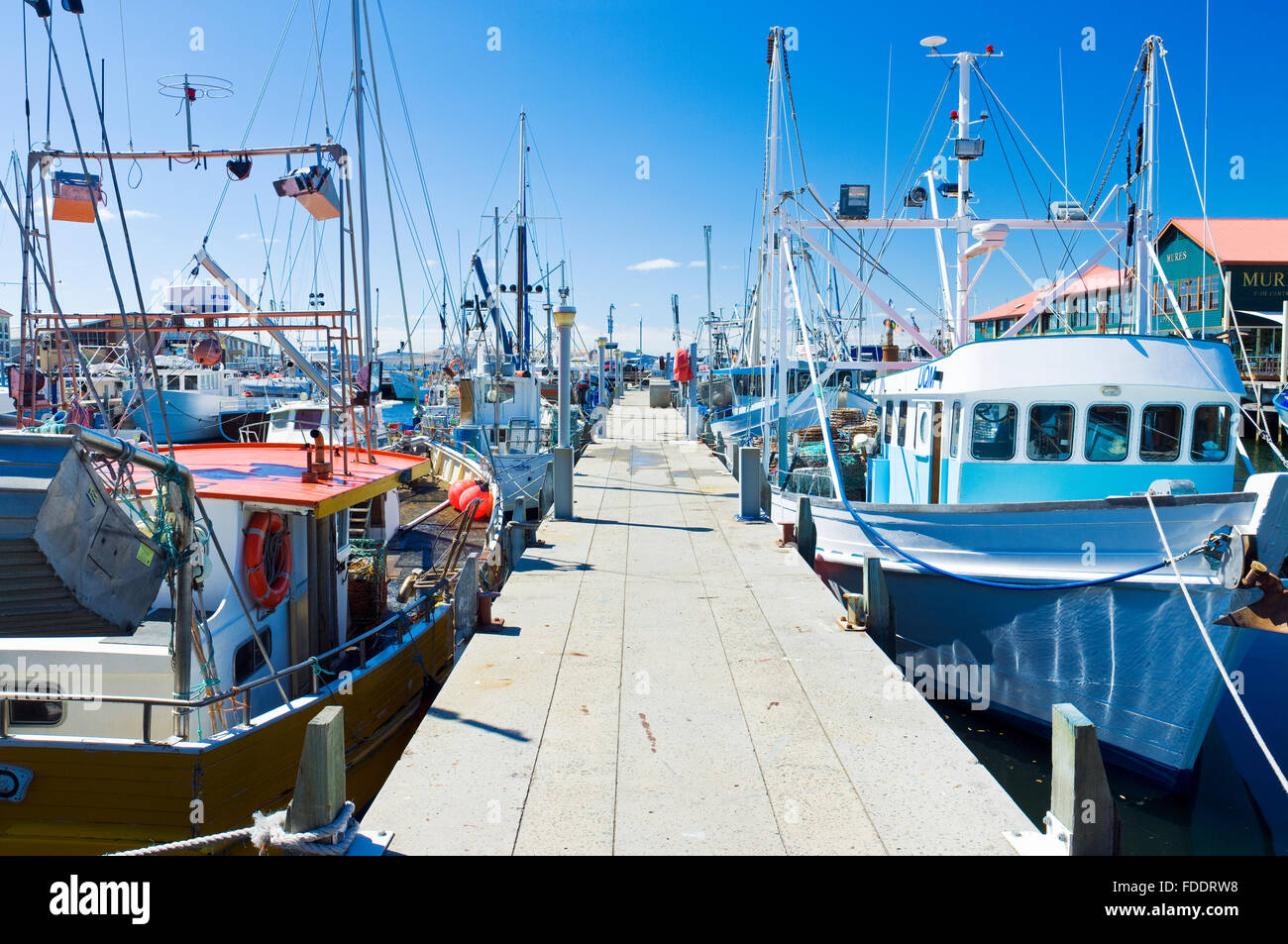 Victoria Dock à Hobart, Tasmanie avec bateaux de pêche sur une journée ensoleillée Banque D'Images