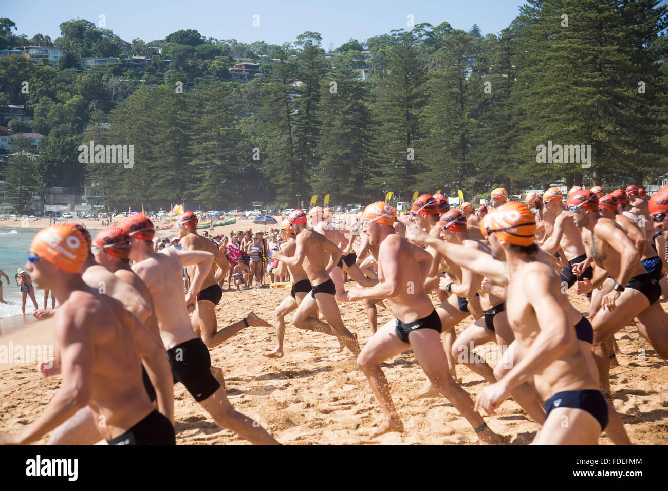 Grand Macquarie nager, 42e grand nager de Palm Beach à Whale Beach Sydney, un océan 2.8km swim, Australie Banque D'Images