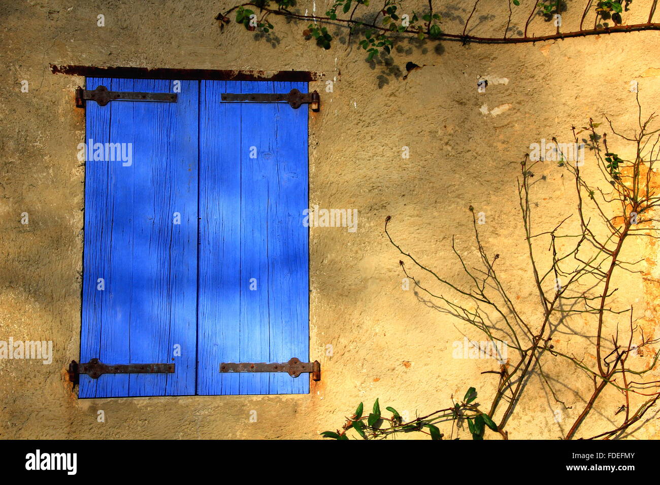 Volets bleus Banque D'Images