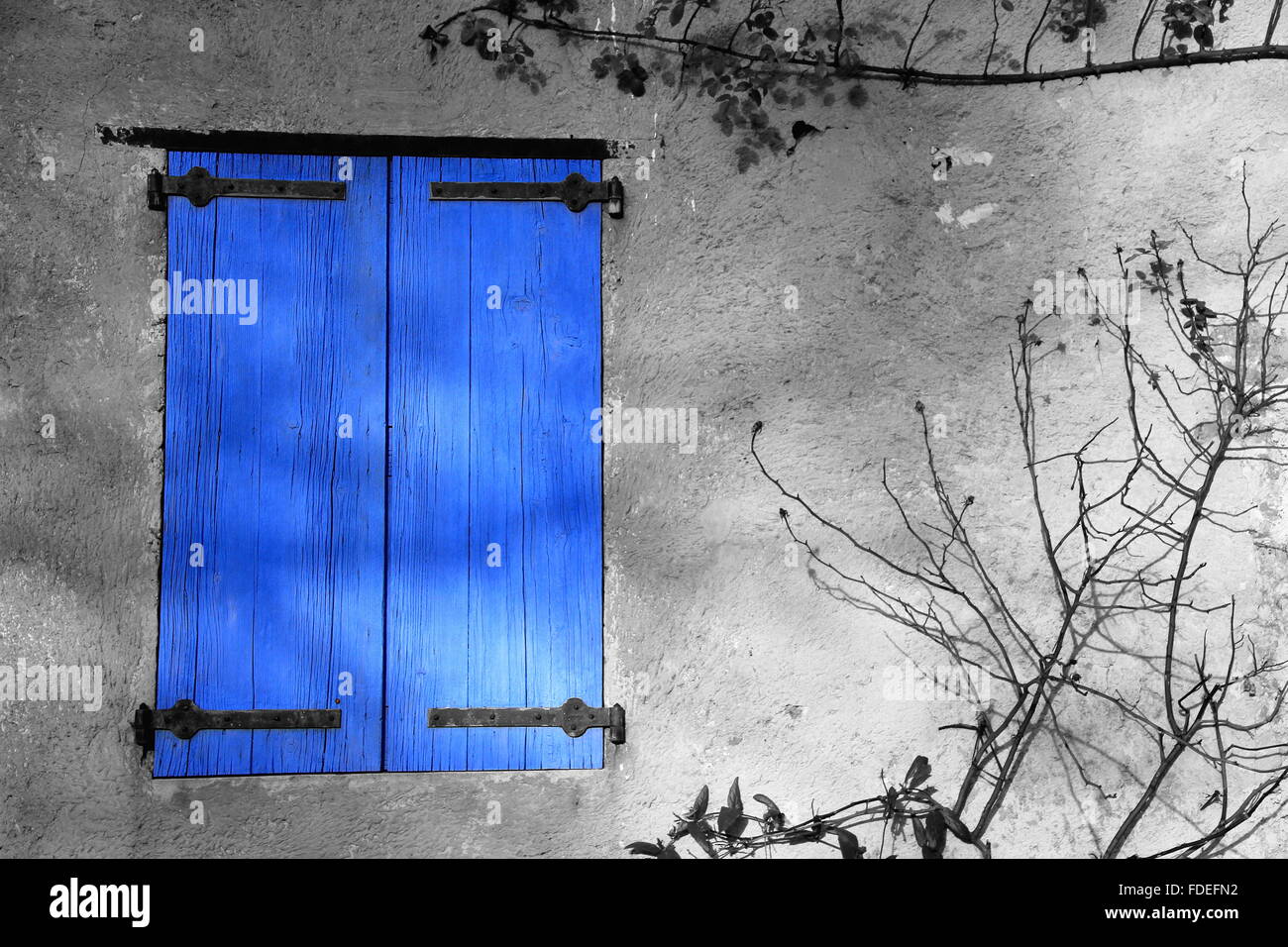 Image en noir et blanc de volets bleus Banque D'Images