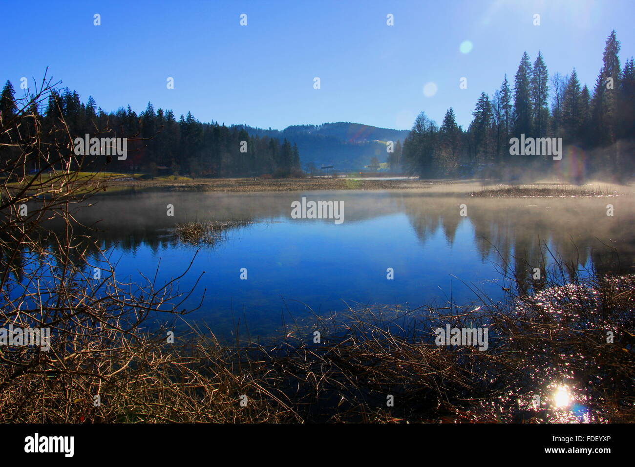 Au lac saint point lac en france Banque D'Images