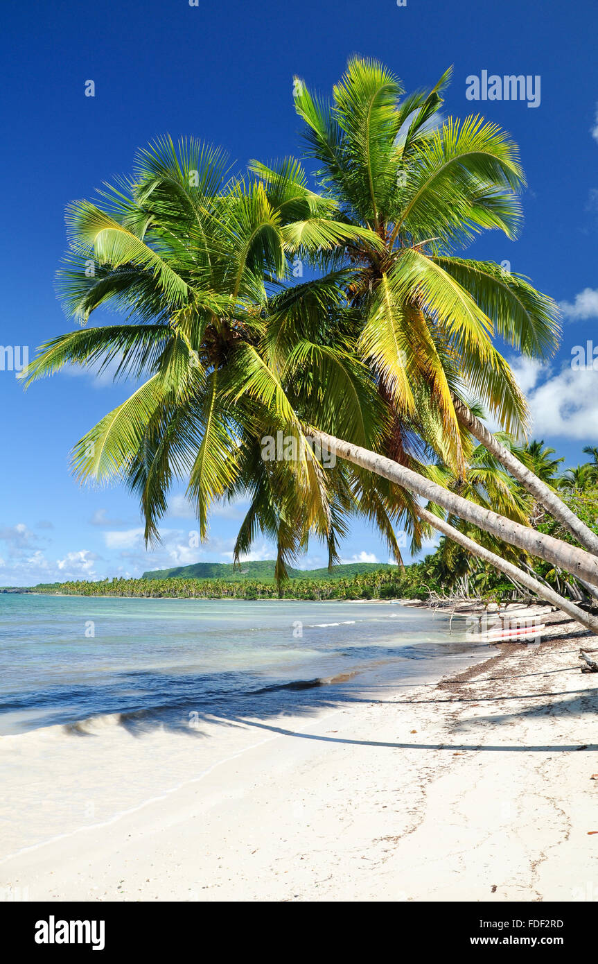 Playa las Galeras : une plage tropicale en République Dominicaine Banque D'Images