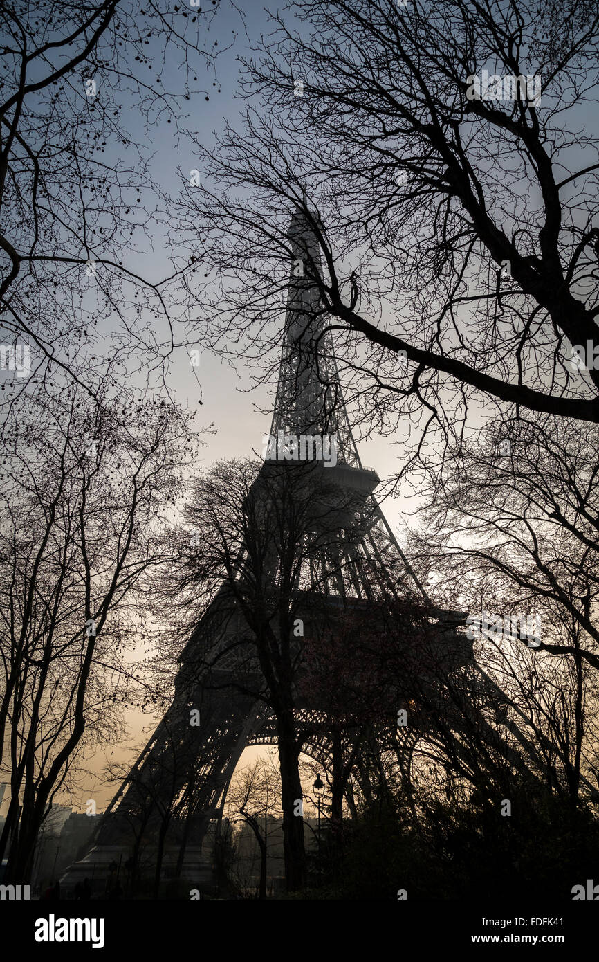 Une vue sur la Tour Eiffel avec le soleil derrière, à travers les arbres à proximité. Banque D'Images