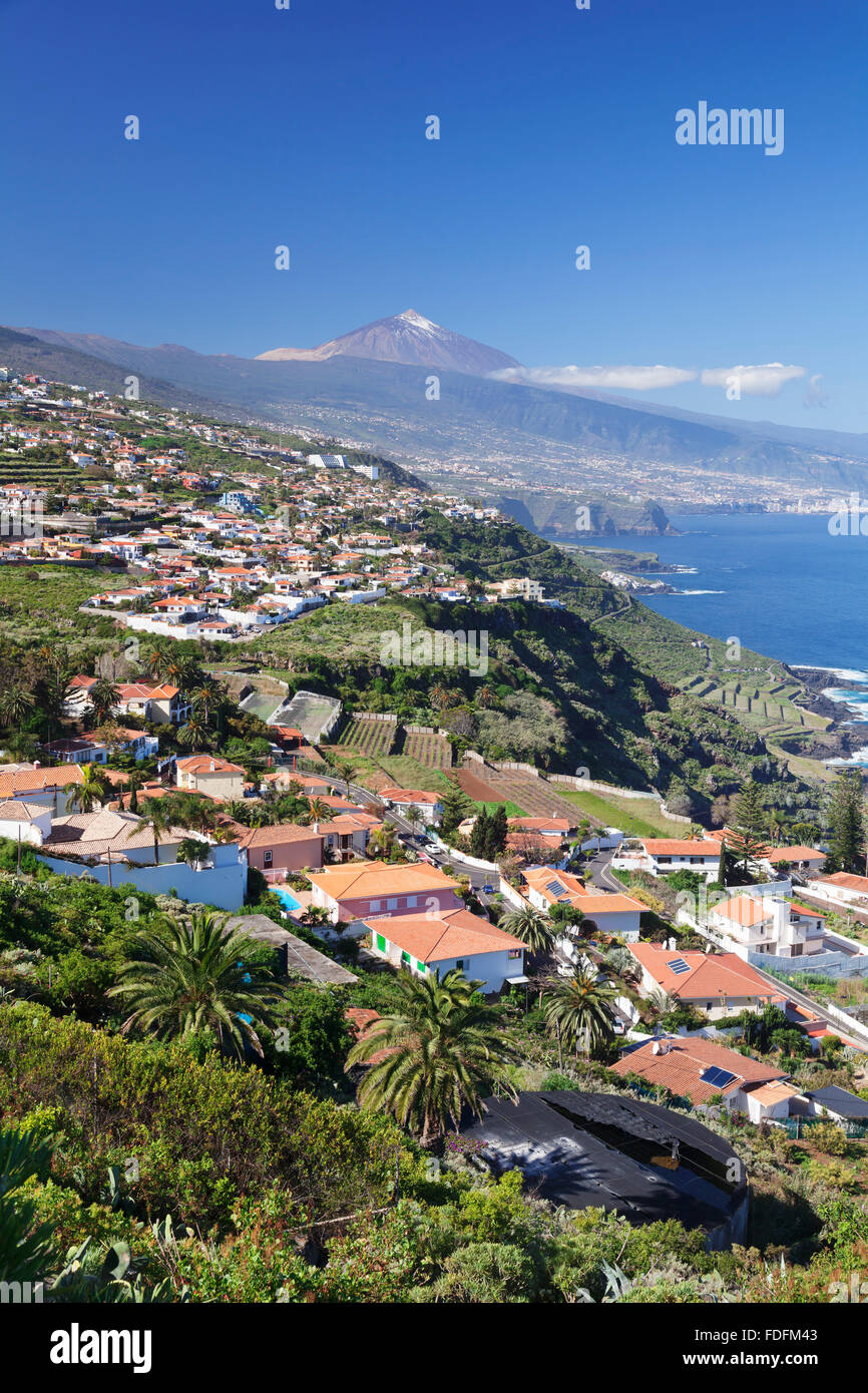 Vue depuis El Sauzal sur la côte nord de Puerto de la Cruz, derrière Teide, Tenerife, Canaries, Espagne Banque D'Images