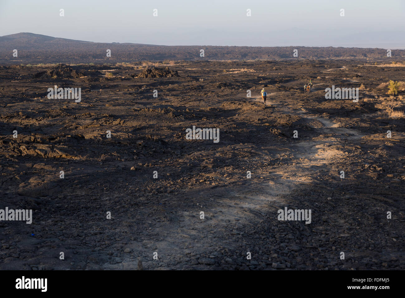 Les gens suivent un léger chemin à travers les champs de lave autour du volcan Erta Ale en Ethiopie. En ordre décroissant le volcan au petit matin d'éviter le pire de la journée de chaleur du désert. Banque D'Images