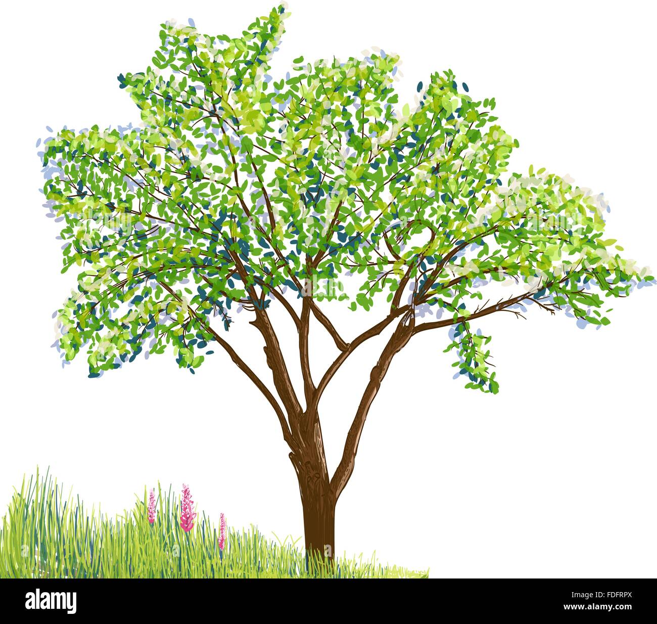 L'herbe et des arbres à fleurs dimensions on white Illustration de Vecteur