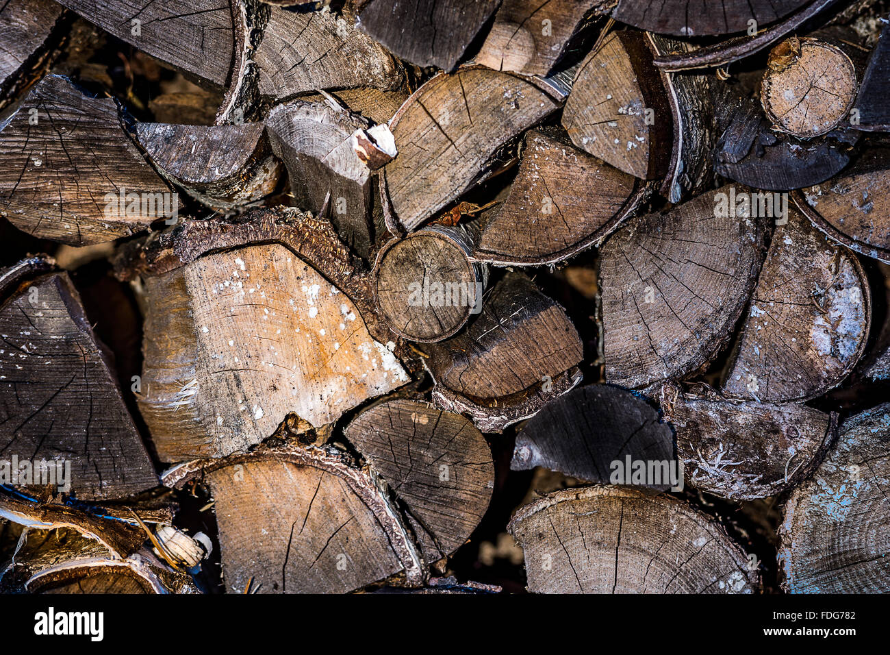 Dans un tas de bois haché préparé pour l'hiver Banque D'Images Dans un tas de bois haché préparé pour l'hiver Banque D'Images