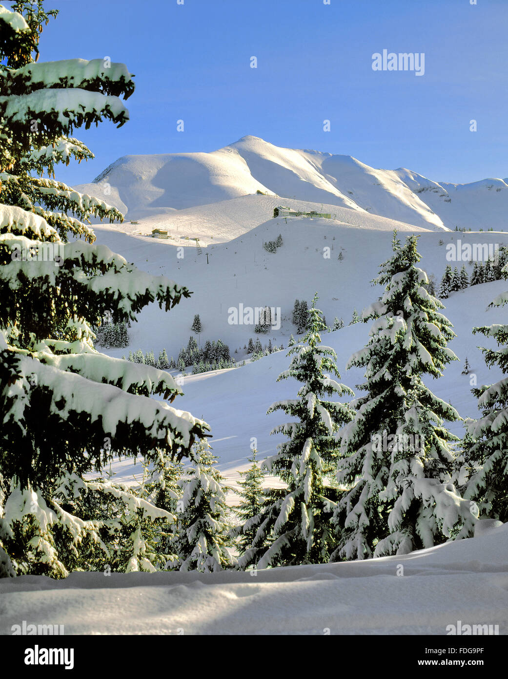 Mont Joly et Mont Joux, dans les Alpes françaises au-dessus de Saint Gervais et Megève Mont d'Arbois. Une station de ski d'hiver en Haute Savoie. Banque D'Images
