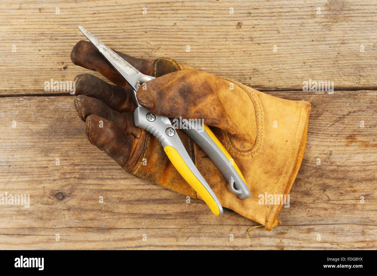 Vieux gant de jardinage avec un sécateur sur une planche en bois Banque D'Images