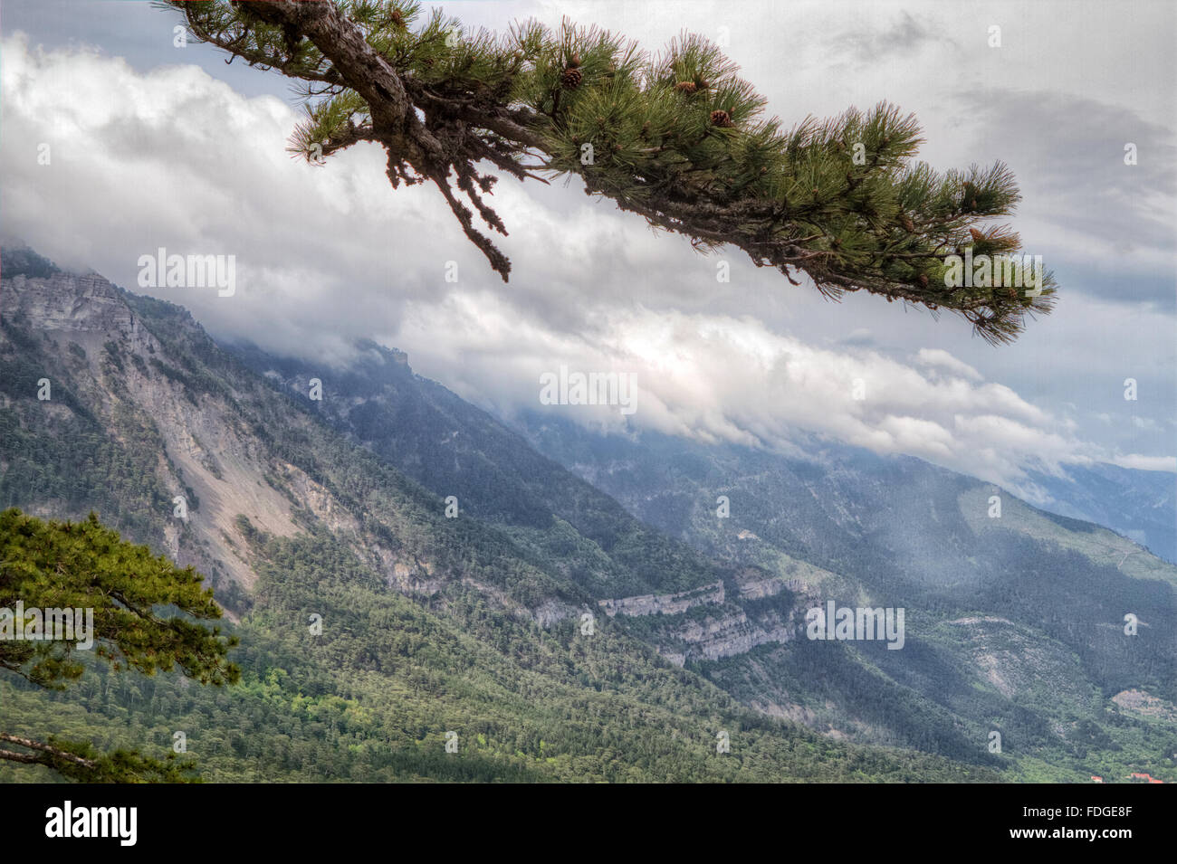 Rocky Mountain Peak avec forêt sur colline Ai-petri Paysage Crimée journée d'été avec ciel bleu sur l'arrière-plan Banque D'Images