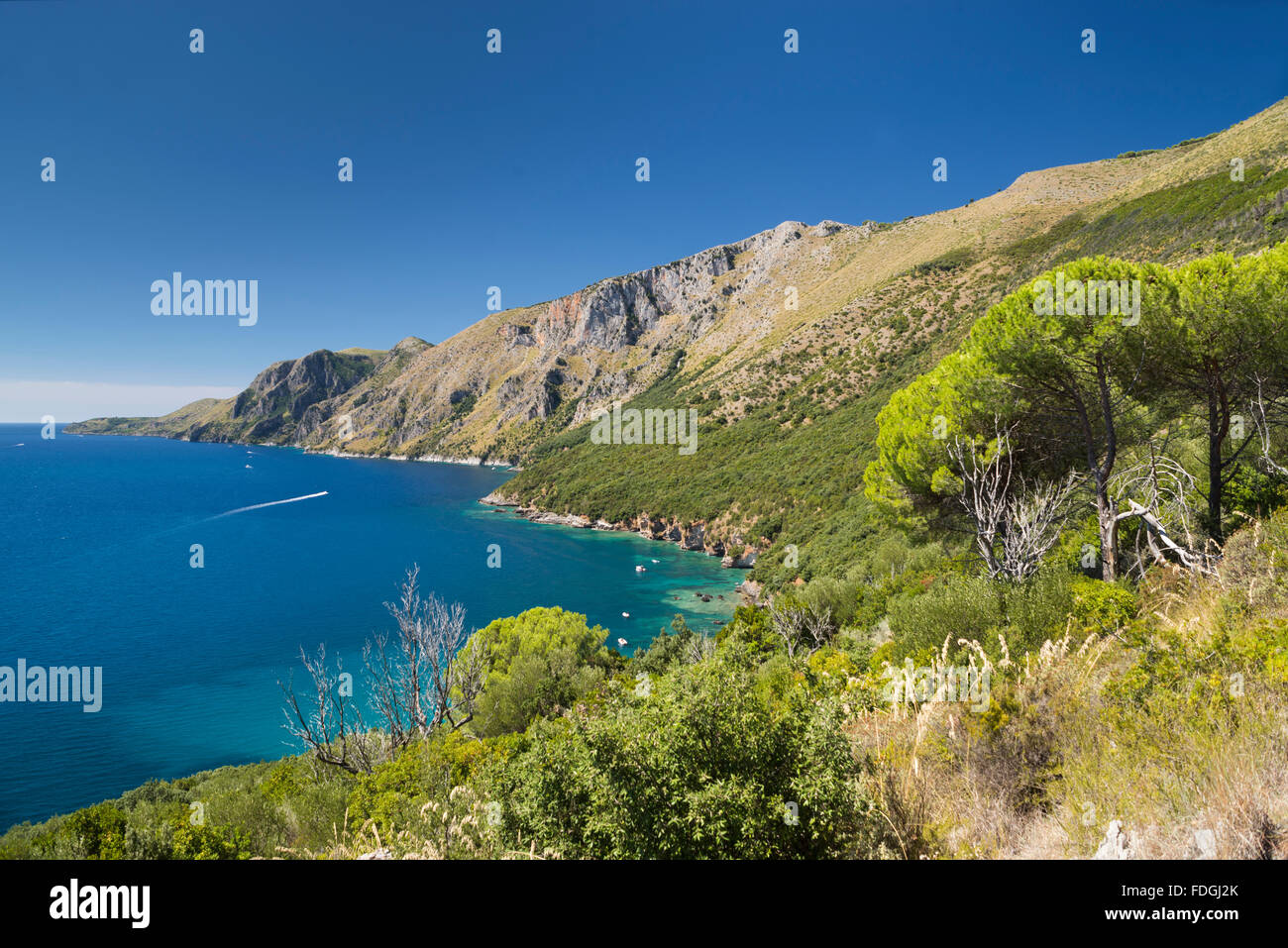La côte sauvage Costa di Masseta entre Scario et Marina di Camerota, dans le sud de Cilento, Campanie, Italie Banque D'Images