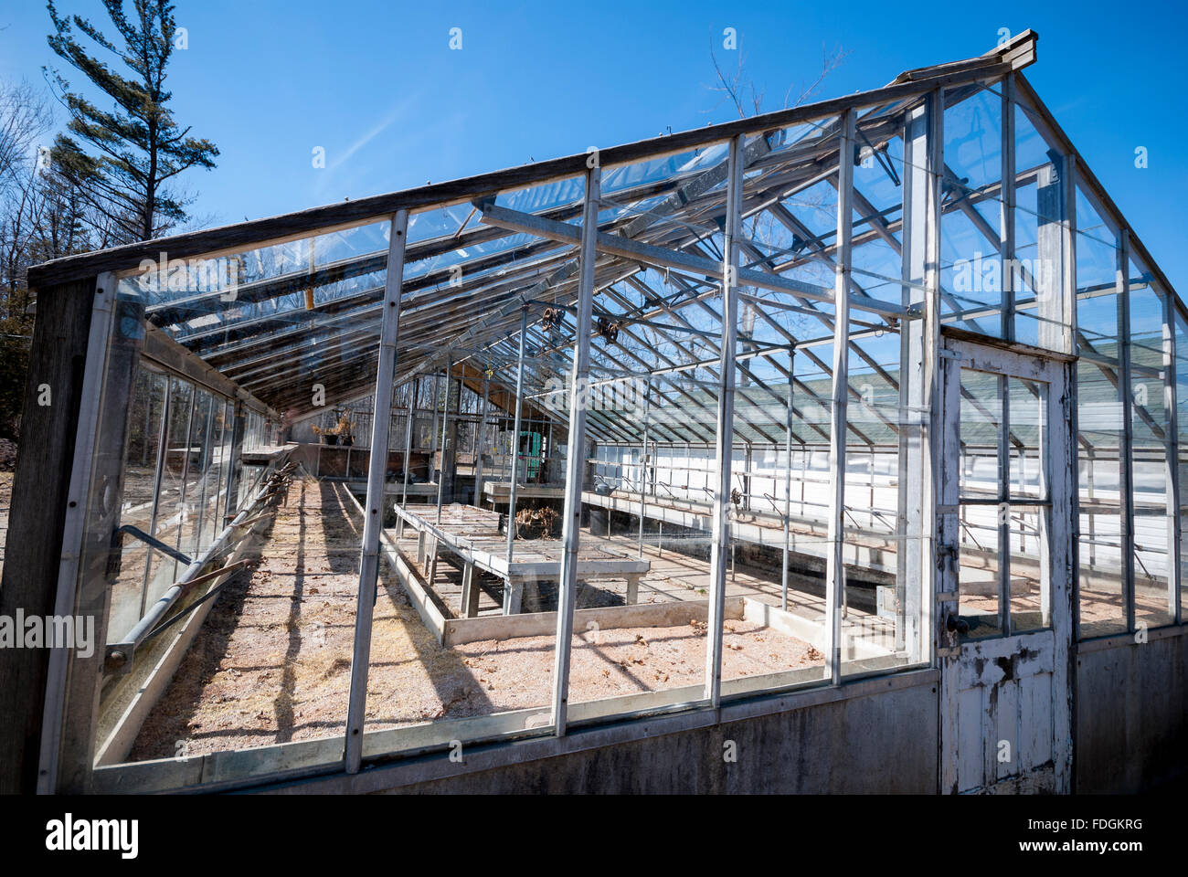 Un grand vide serre commerciale besoin de réparation et de restauration. Banque D'Images
