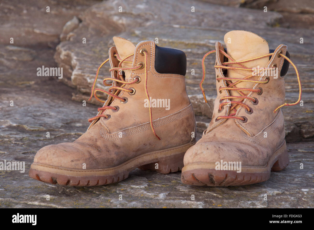 paire de timberland