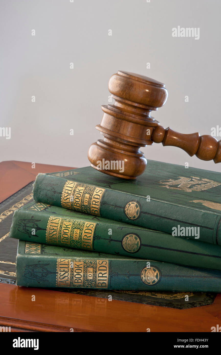 Vente aux enchères vieux livres Gavel concept image des ventes aux enchères marteau sur Rare collection antique de 1860 'Cassells Book of Birds' situation saleroom Banque D'Images