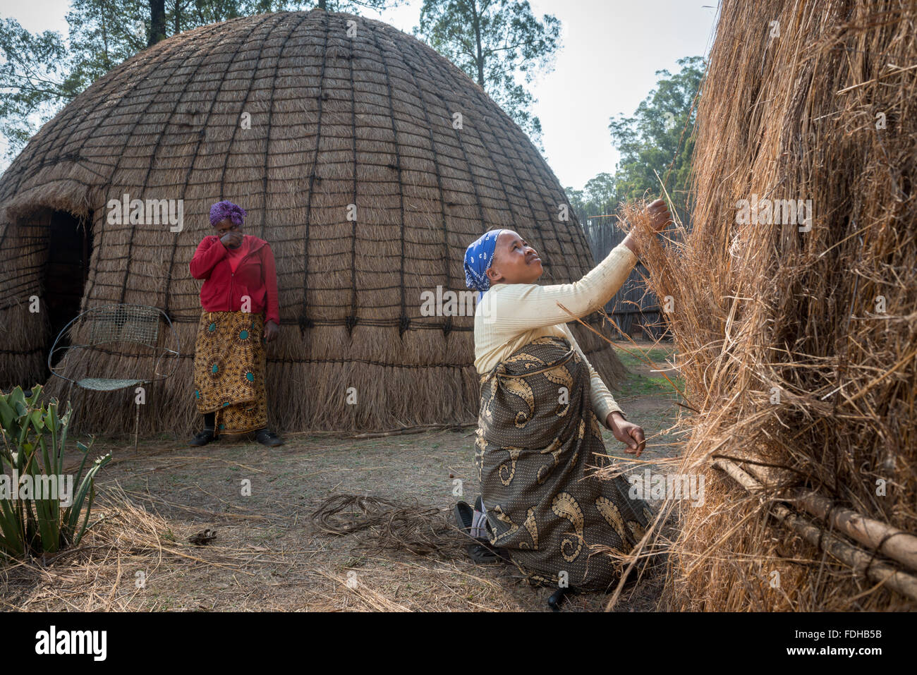 Femmes africaines qui s beehive huts au Mlilwane Wildlife Sanctuary au Swaziland l'Afrique. Banque D'Images