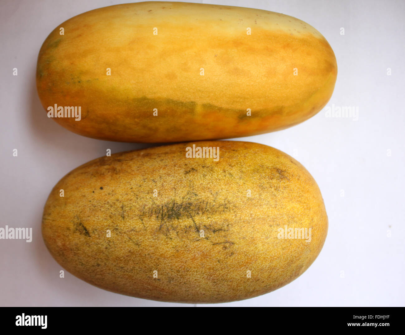 Le melon, Cucumis melo var momordica, fruits ovales consommée le